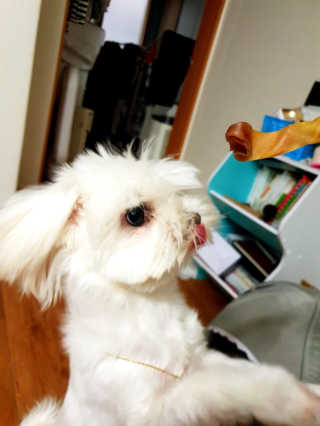 우진맘님이 올린 리뷰 사진 1