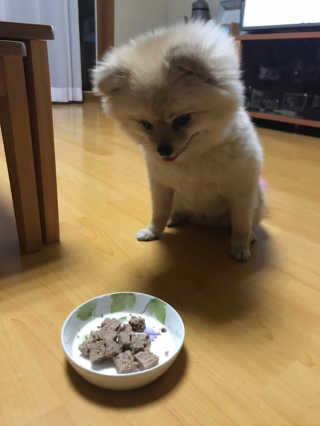민토리님이 올린 리뷰 사진 1