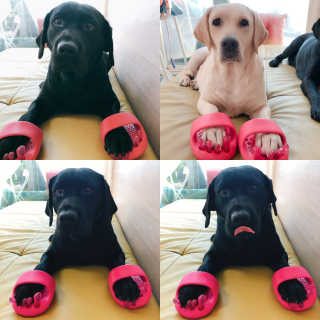 Lilly❤️님이 올린 리뷰 사진 1