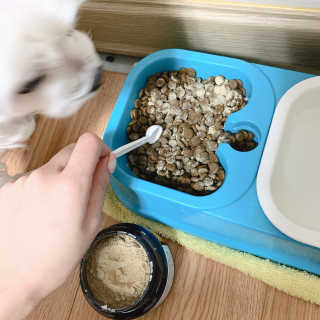 전설의효짱님이 올린 리뷰 사진 3