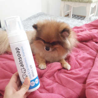 김민주님이 올린 리뷰 사진 1