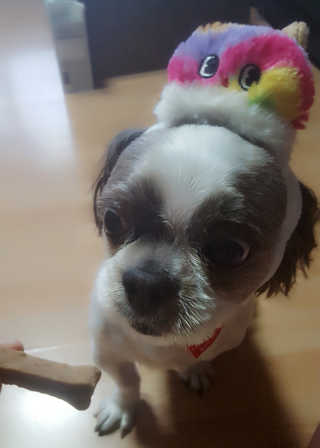 하이루하이루님이 올린 리뷰 사진 4
