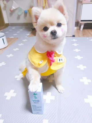 뚱이땅콩맘님이 올린 리뷰 사진 1