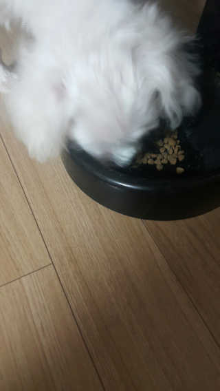 쭈리미~~님이 올린 리뷰 사진 3