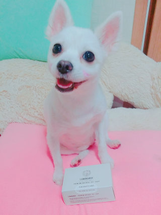 떠뇽양님이 올린 리뷰 사진 1