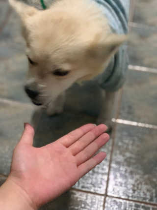 정다녕님이 올린 리뷰 사진 2