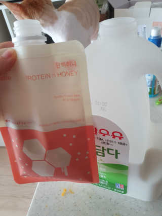 투마하뚜님이 올린 리뷰 사진 2
