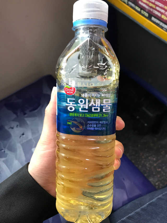 모링가 티업 리뷰 사진