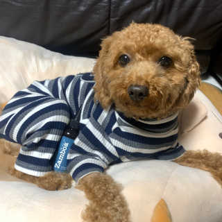 몽글이님이 올린 리뷰 사진 3