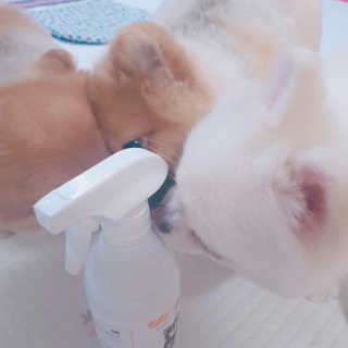 송희님이 올린 리뷰 사진 2