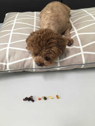 밍님이 올린 리뷰 사진 1