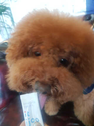 쪼꼬짱님이 올린 리뷰 사진 1