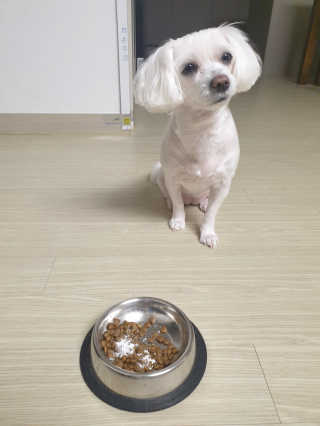 메뚝메뚝님이 올린 리뷰 사진 2