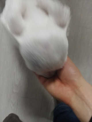 종띠띠님이 올린 리뷰 사진 2
