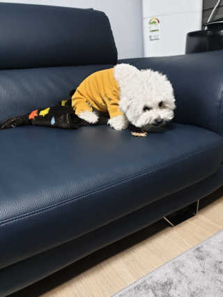 R_DM_3님이 올린 리뷰 사진 2