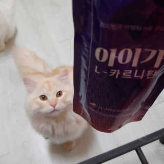 Lim님이 올린 리뷰 사진 2