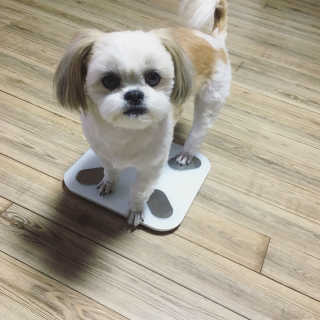 HyeJeeKim님이 올린 리뷰 사진 3