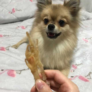 Ariel님이 올린 리뷰 사진 1