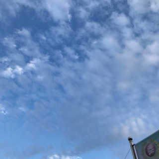 [22도씨] 라클 화이트닝 크림 80ml — 5점을 준 리뷰어가 2019년 8월 올린 사용 사진