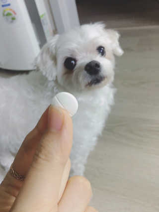 S2loveS2you님이 올린 리뷰 사진 3