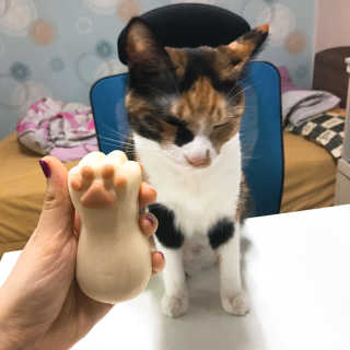 예콩님이 올린 리뷰 사진 2
