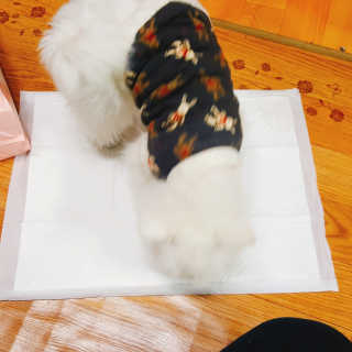 듀히두히님이 올린 리뷰 사진 2