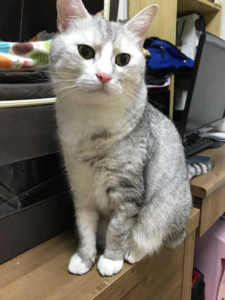 오래오니뚜님이 올린 리뷰 사진 1