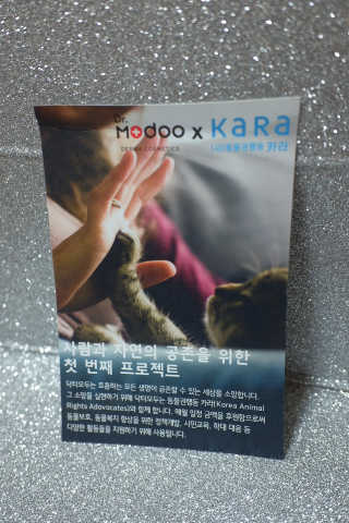 늘봄냥님이 올린 리뷰 사진 4