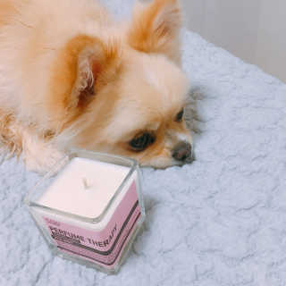 이지은님이 올린 리뷰 사진 1