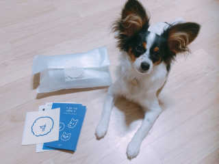 마법의성님이 올린 리뷰 사진 2