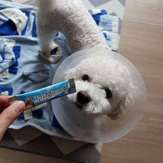MinheeJo님이 올린 리뷰 사진 3