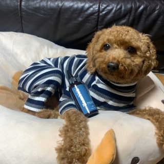 몽글이님이 올린 리뷰 사진 1