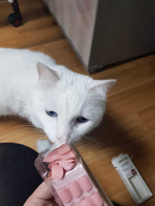 정이님이 올린 리뷰 사진 2