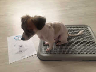김미진님이 올린 리뷰 사진 2