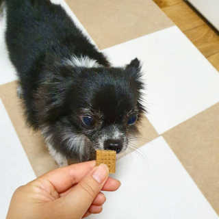 쏭야님이 올린 리뷰 사진 4