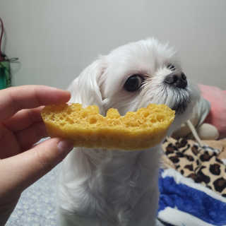 똥지님이 올린 리뷰 사진 2