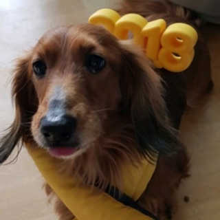 쑤우혀닝님이 올린 리뷰 사진 4