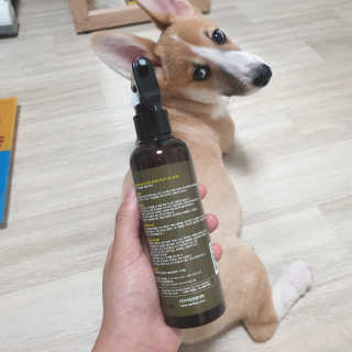 진이맘님이 올린 리뷰 사진 2