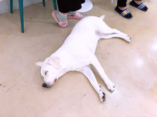 SunnyKim님이 올린 리뷰 사진 2