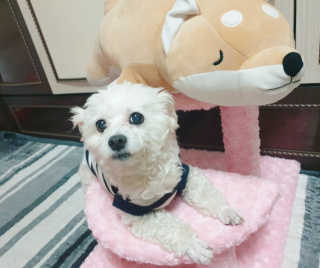 은혜eh님이 올린 리뷰 사진 1
