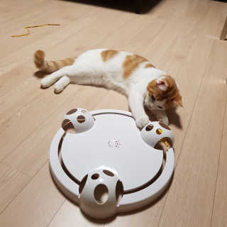 미슝이님이 올린 리뷰 사진 4