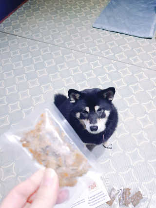 포장마차님이 올린 리뷰 사진 1
