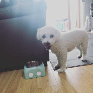 기여운아이니님이 올린 리뷰 사진 2