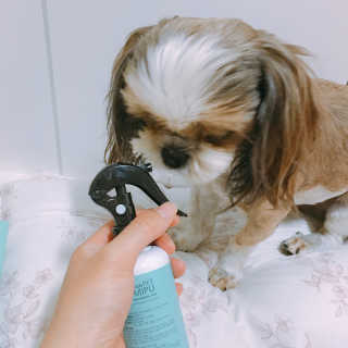 베베츄님이 올린 리뷰 사진 4