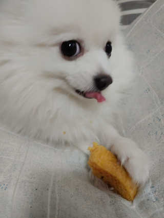 치르치르님이 올린 리뷰 사진 3