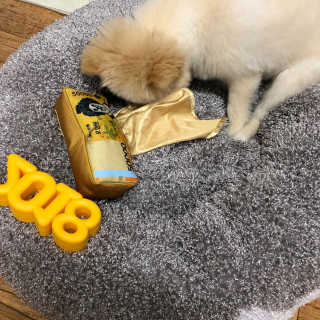 ym0119님이 올린 리뷰 사진 1
