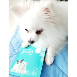 심쿵해에님이 올린 리뷰 사진 1