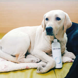[펫토리아] 뚝딱케어 강아지 고양이 다목적세정제 — 5점을 준 리뷰어가 2020년 2월 올린 사용 사진
