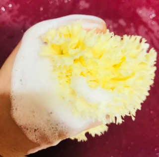 쏭님이 올린 리뷰 사진 3