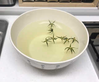 J님이 올린 리뷰 사진 2